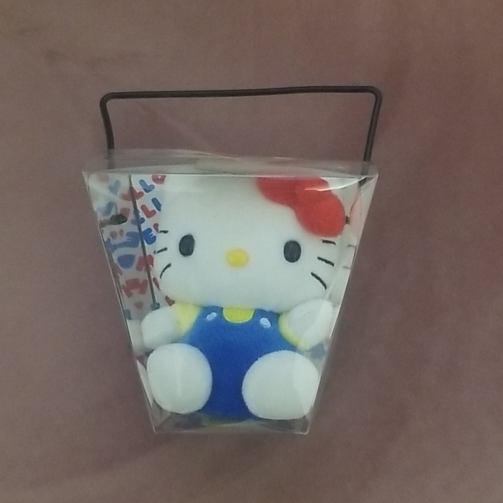 *Rare* Hot Topic Hello Kitty Take out box Plush